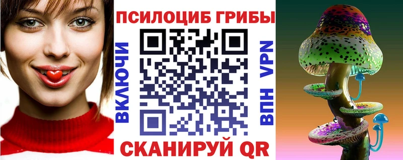 Галлюциногенные грибы Cubensis  Купить закладки  Белгород 